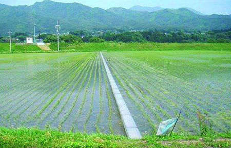 畦畔カバー | 製品情報 | 株式会社リピープラス｜再生プラ敷板